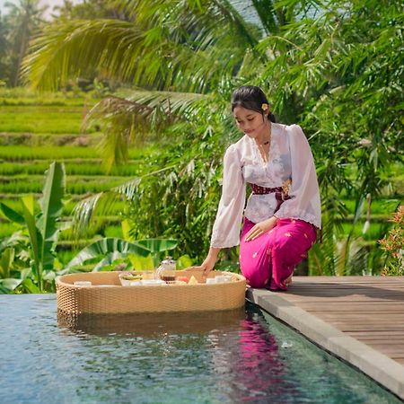 Vila Padi Luwih Ubud Exteriér fotografie