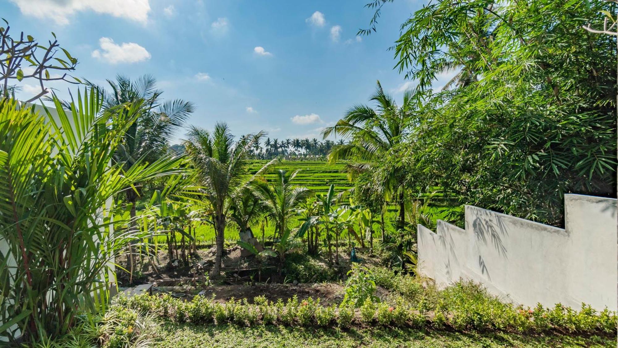 Vila Padi Luwih Ubud Exteriér fotografie