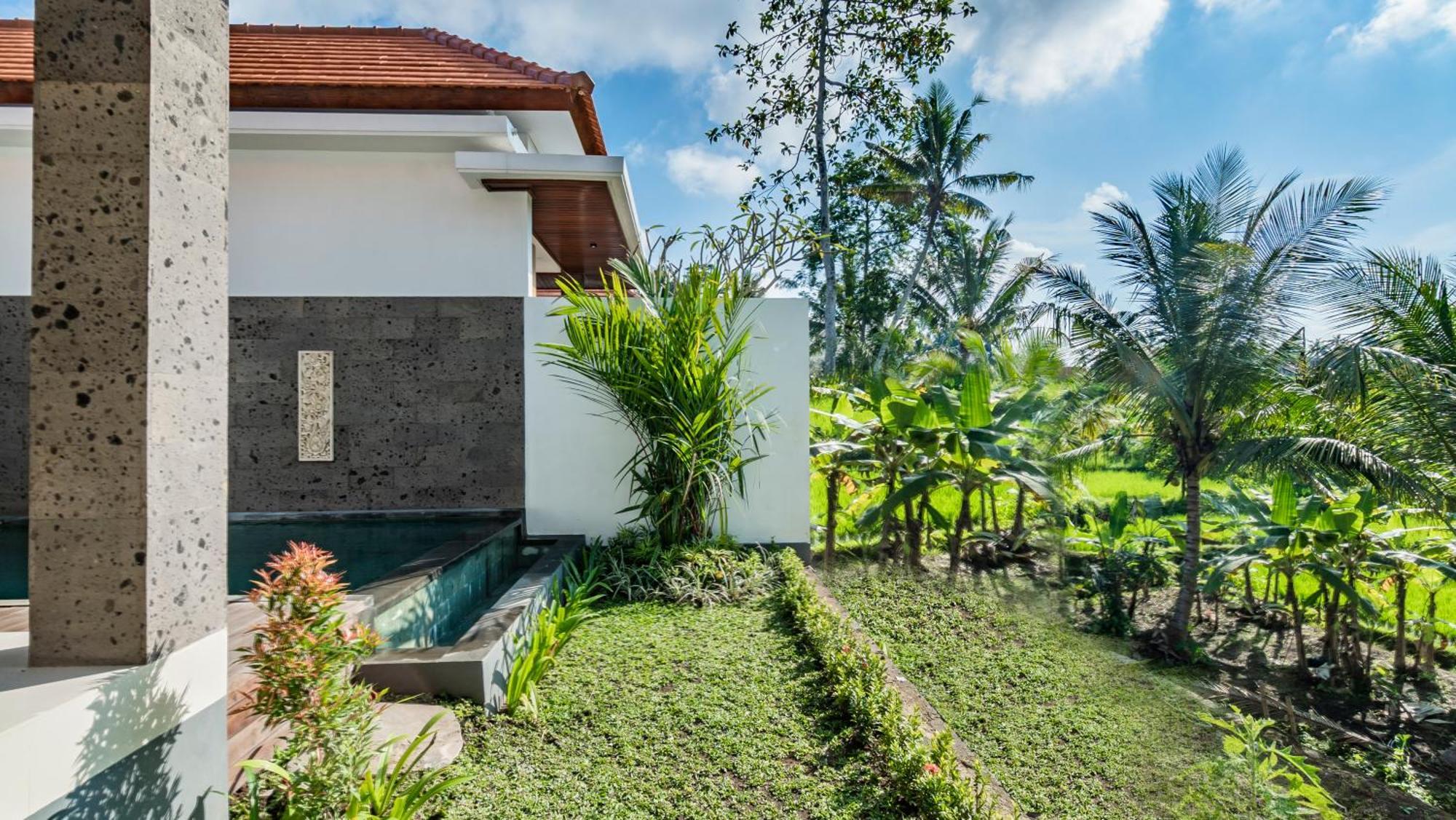 Vila Padi Luwih Ubud Exteriér fotografie