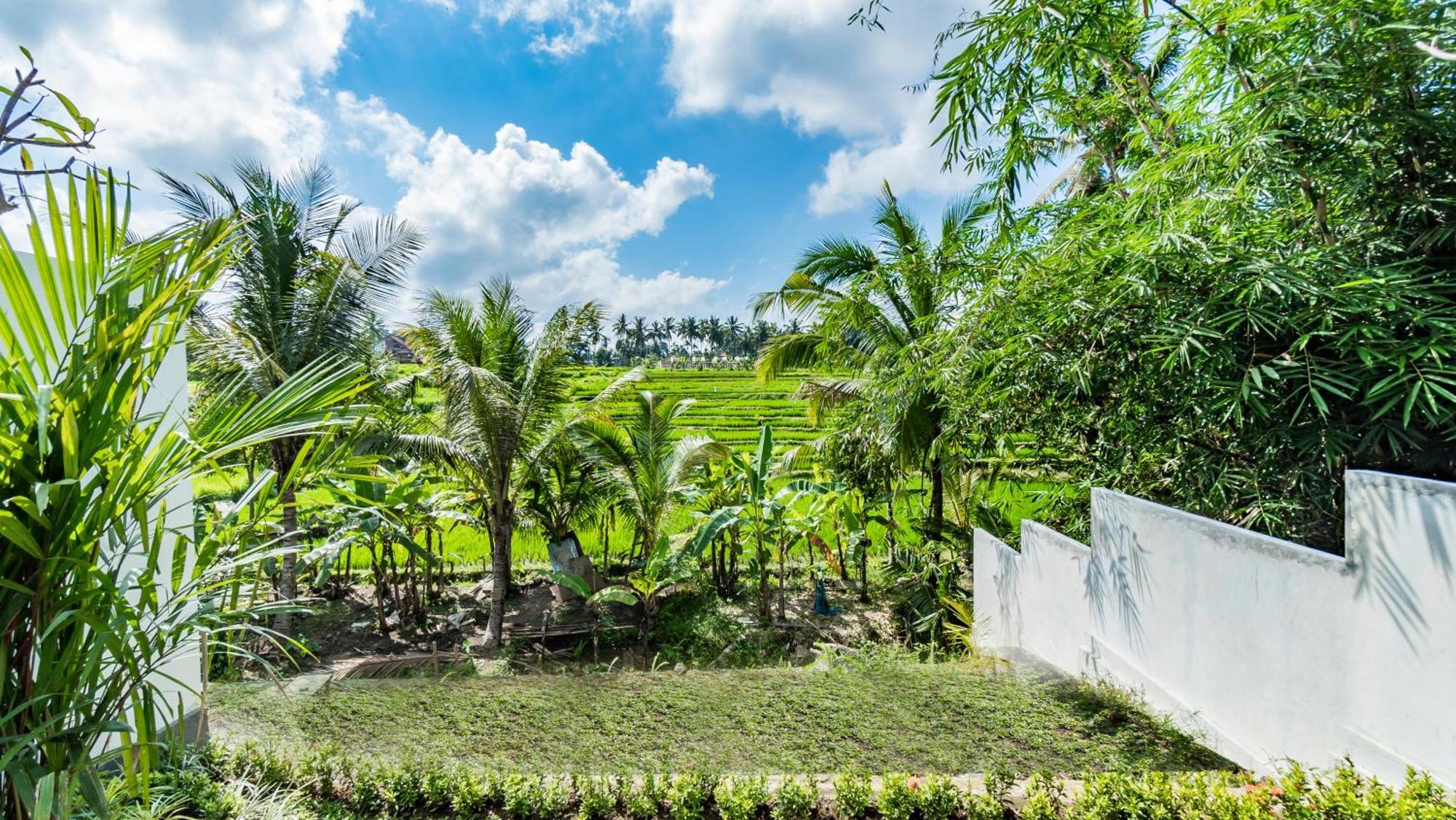 Vila Padi Luwih Ubud Exteriér fotografie
